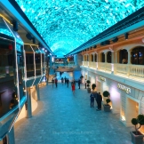Описание каюты на лайнере MSC Bellissima