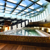 Описание лайнера costa diadema