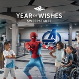 Disney Wish - описание лайнера круизной компании Disney Cruise Line