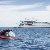 Описание лайнера Crystal Endeavor