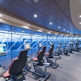 Описание лайнера MSC Divina