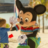 Описание найнера Disney Magic